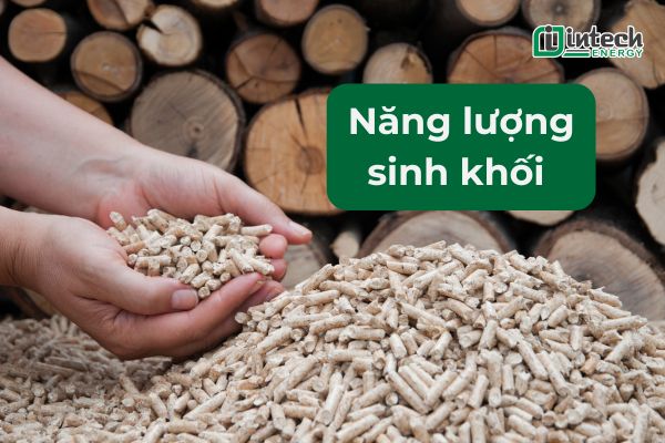 năng lượng sinh khối