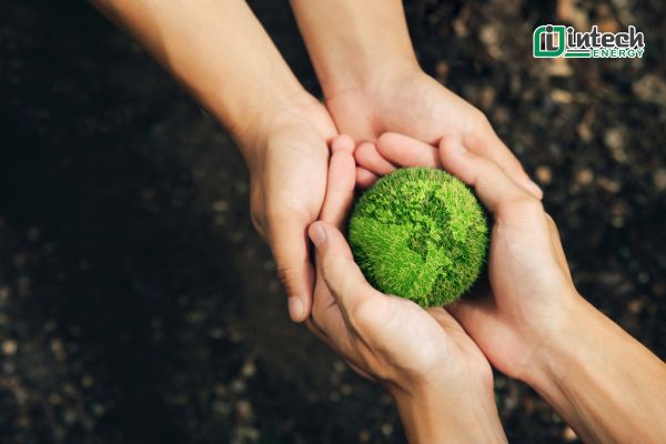 Vai trò quan trọng của CCS