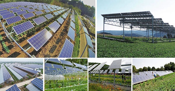 Trang trại năng lượng mặt trời (Solar Farm / Community Solar) là gì?